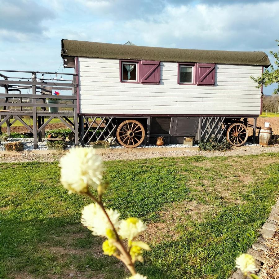 La Roulotte Belle Fleur Hotel Saint-Nabord Kültér fotó